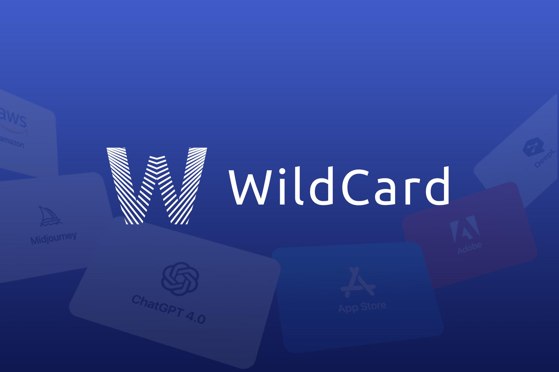 野卡 WildCard